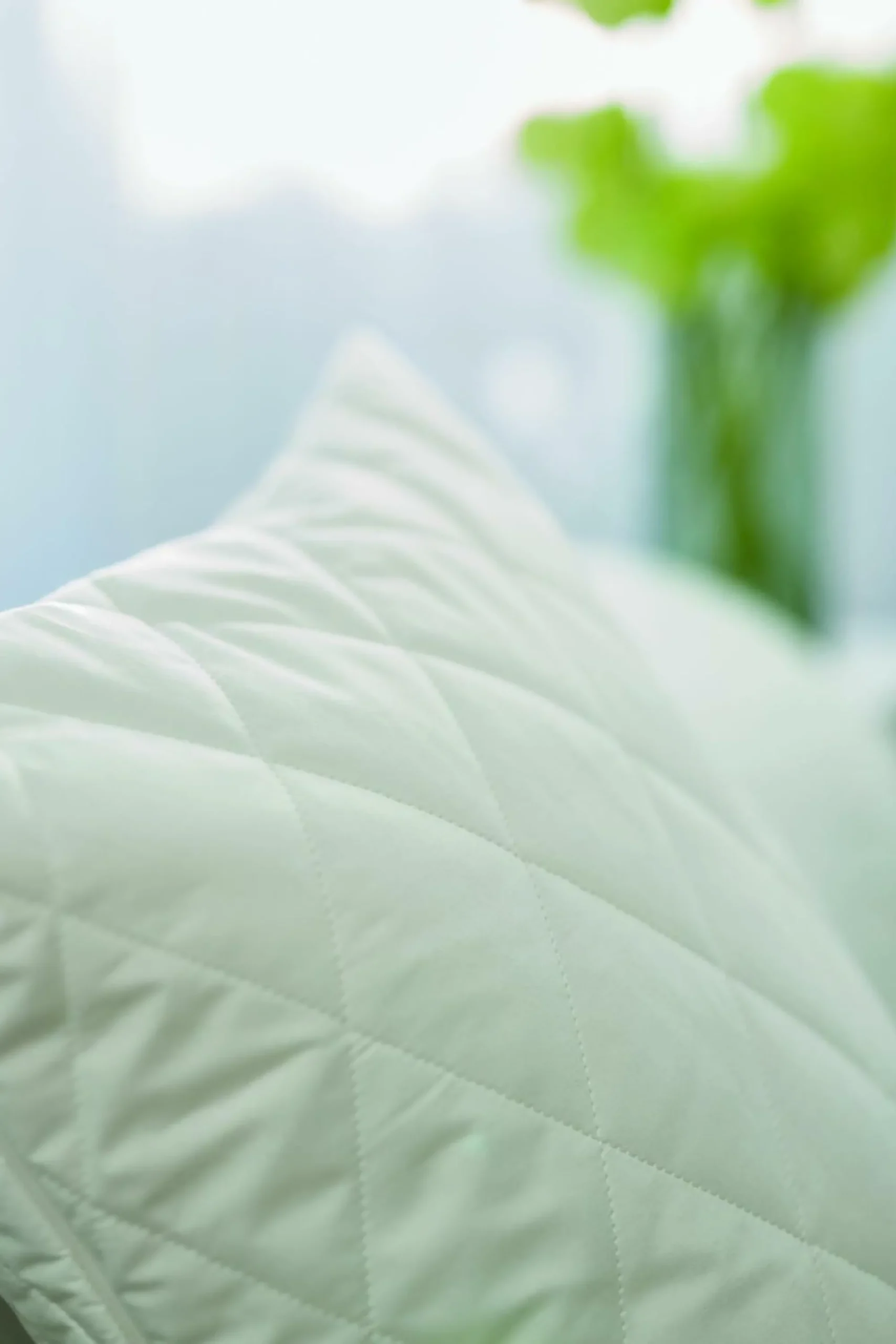 CENTA-STAR Kopfkissen FAMOUS