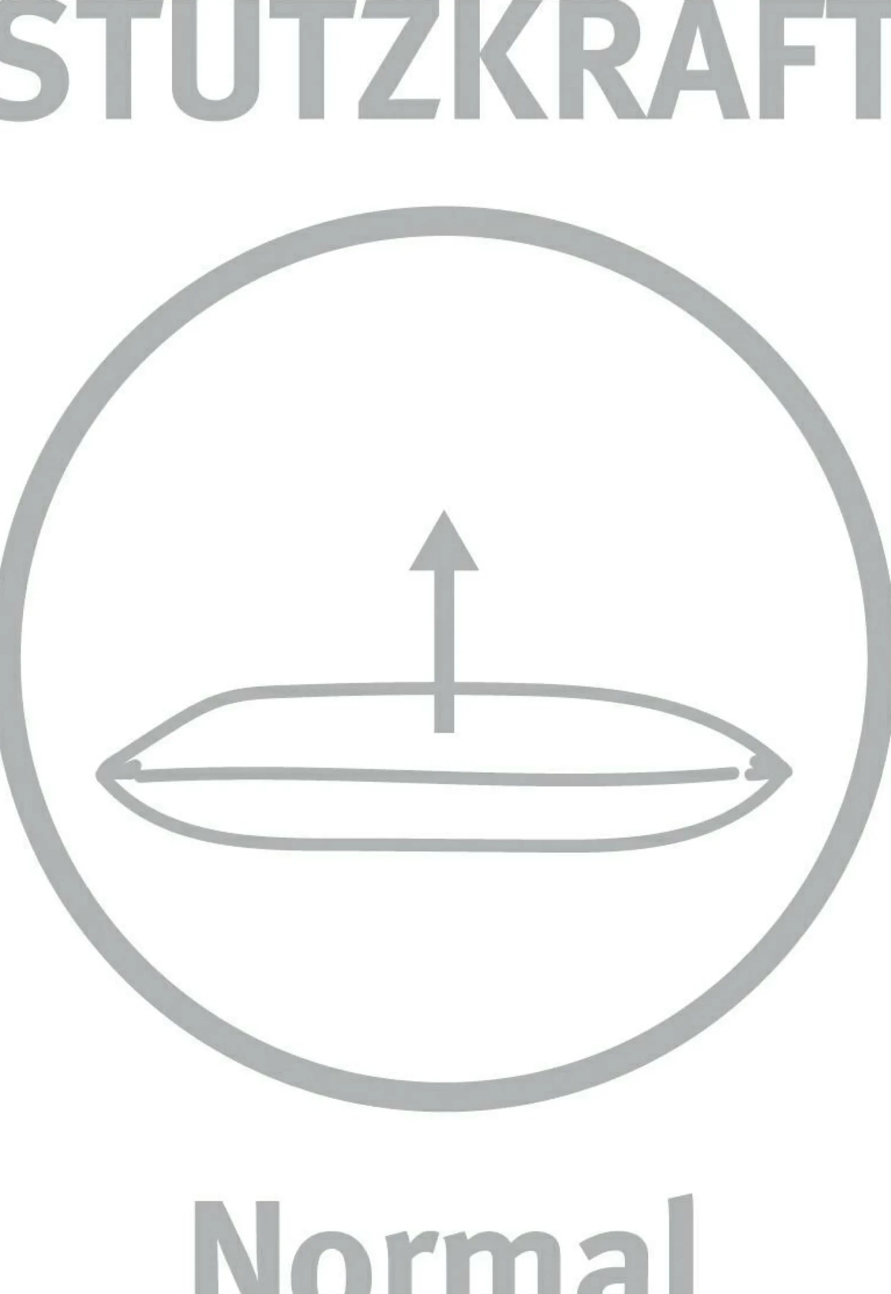 Paradies Kopfkissen NANI MEDIUM BIO