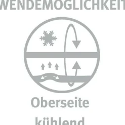 Best Paradies Kopfkissen SOFTY COOL BIO