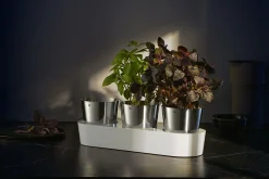 WMF Kräutergarten 3 teilig