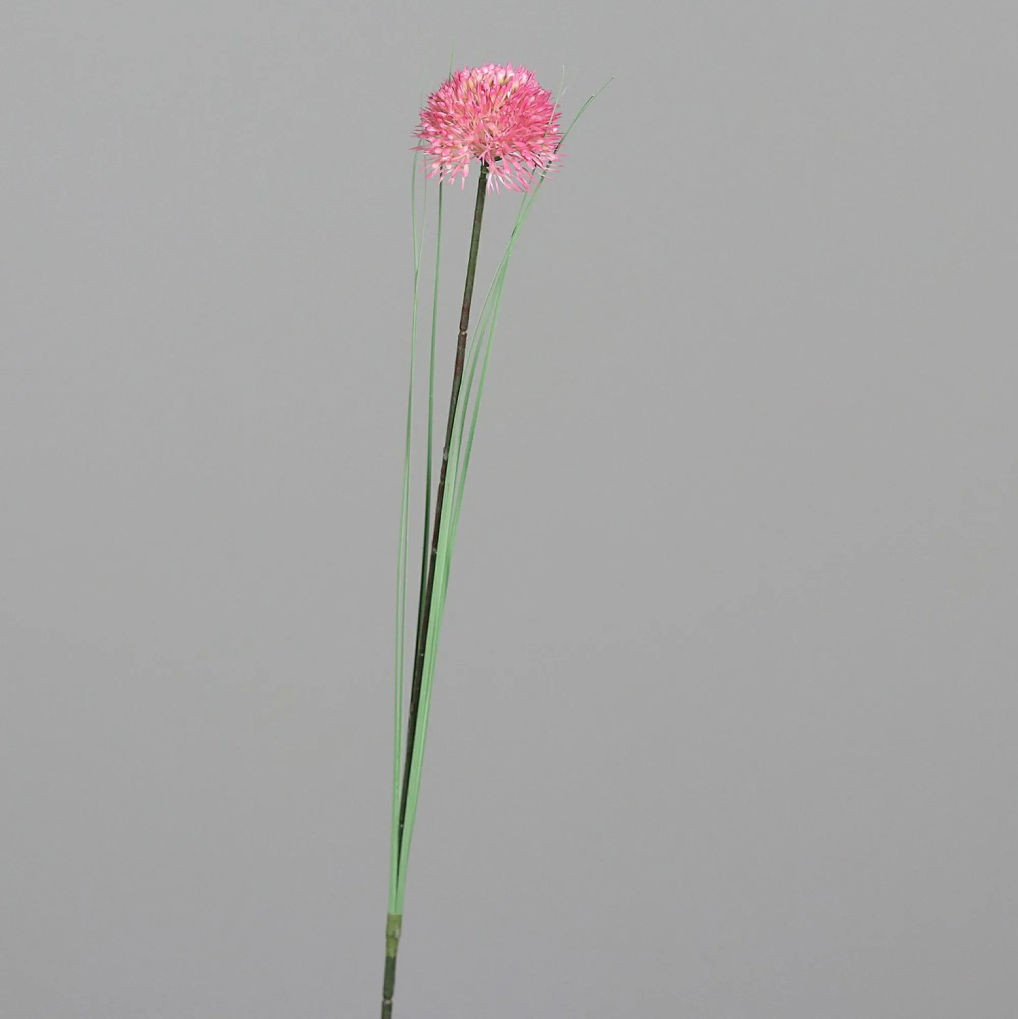 DPI Kunstblume Allium
