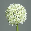 DPI Kunstblume Allium