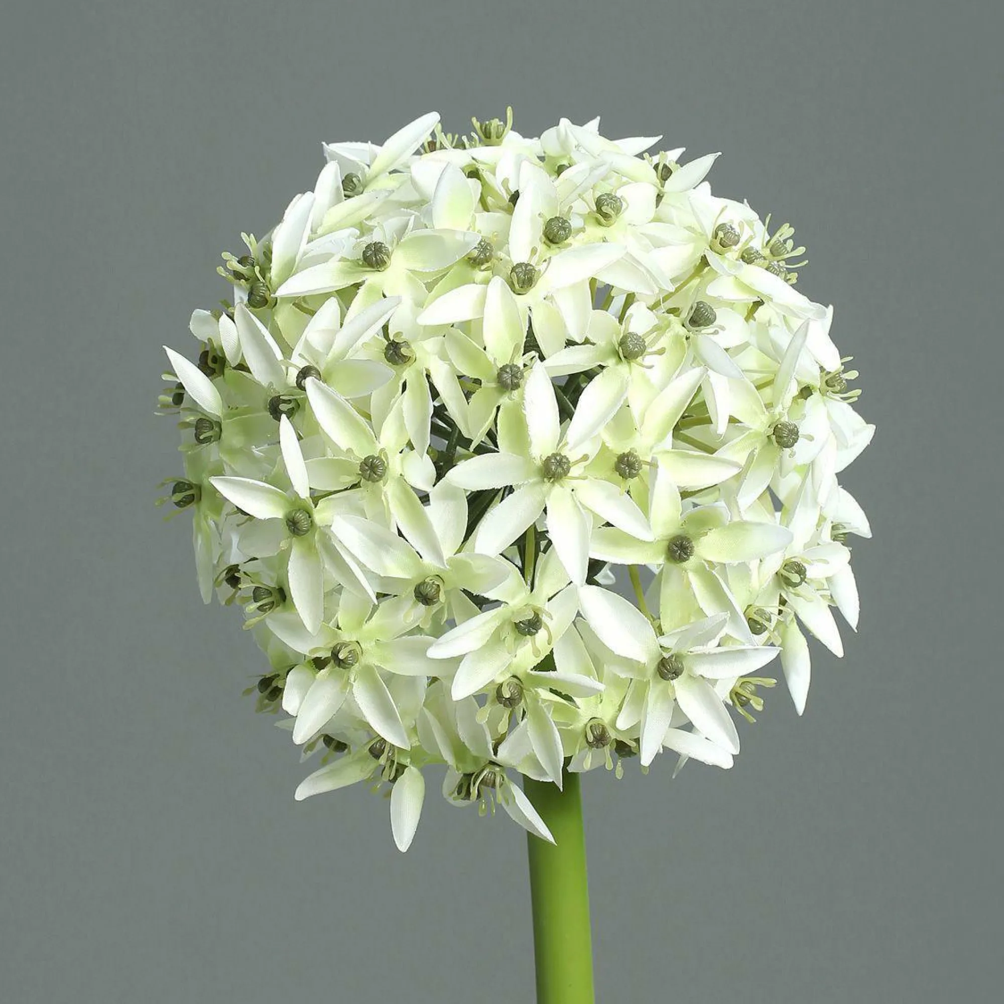 DPI Kunstblume Allium