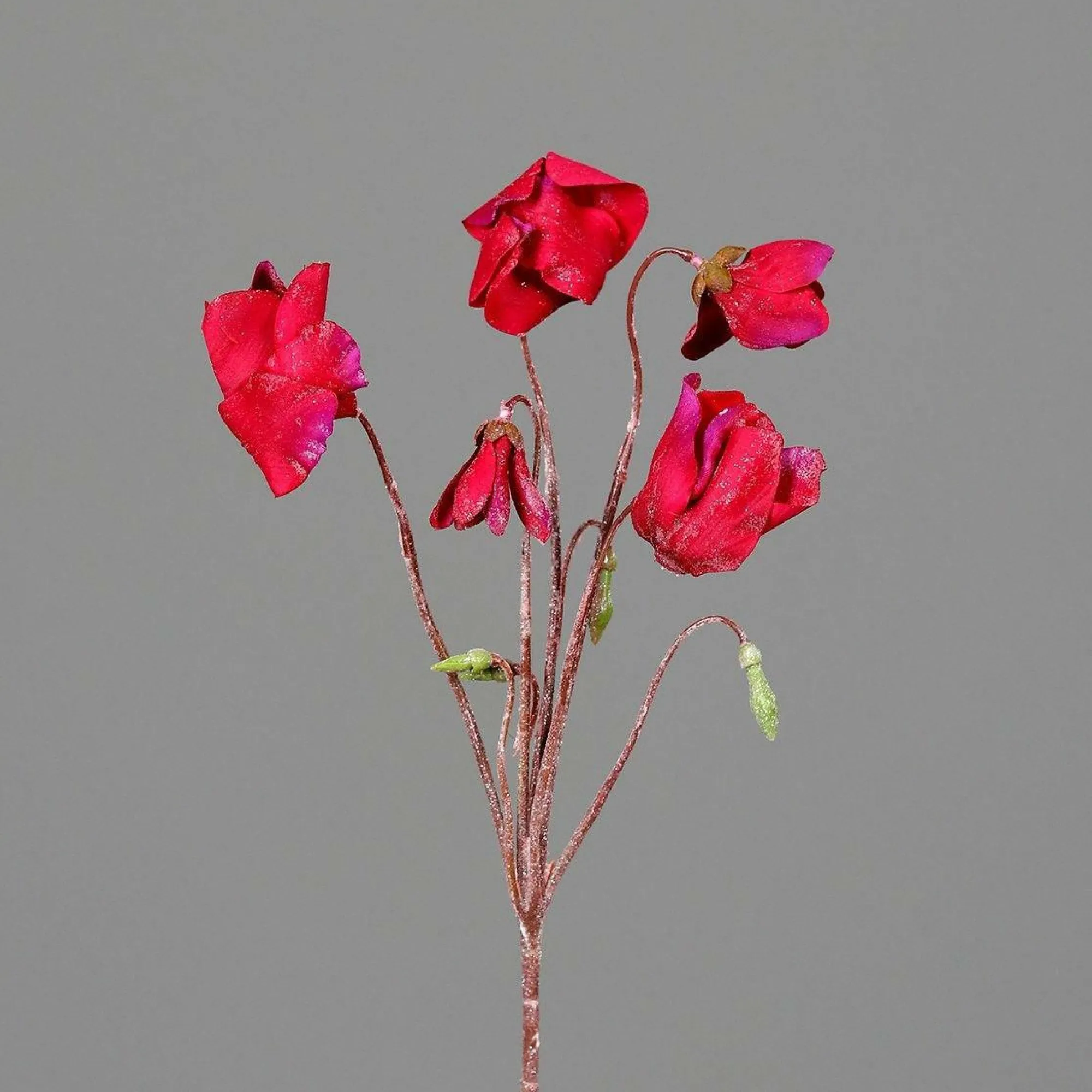 DPI Kunstblume Alpenveilchen