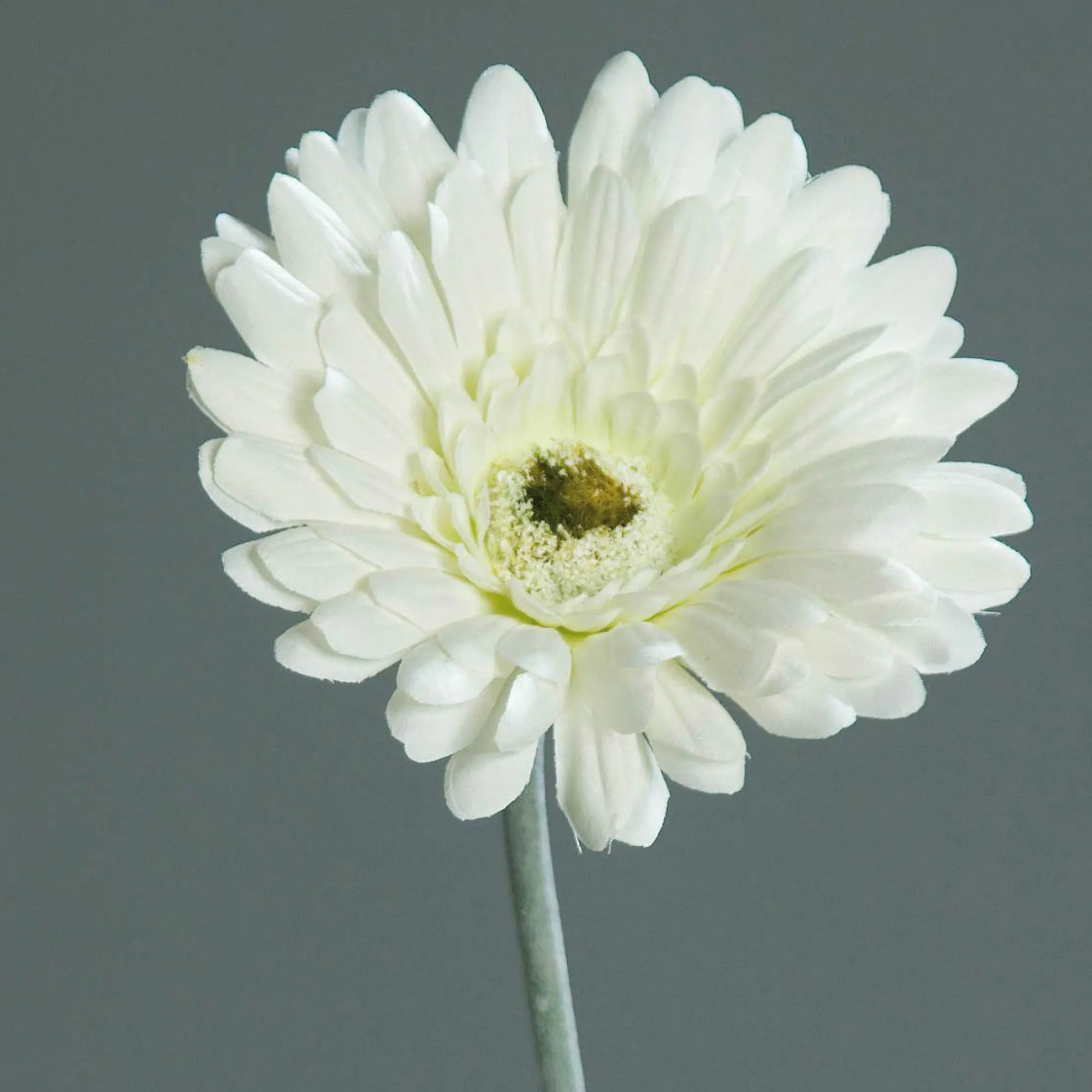DPI Kunstblume Gerbera