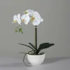 DPI Kunstblume Orchidee