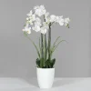 Sale DPI Kunstblume Orchidee