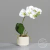 DPI Kunstblume Orchidee