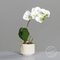 DPI Kunstblume Orchidee