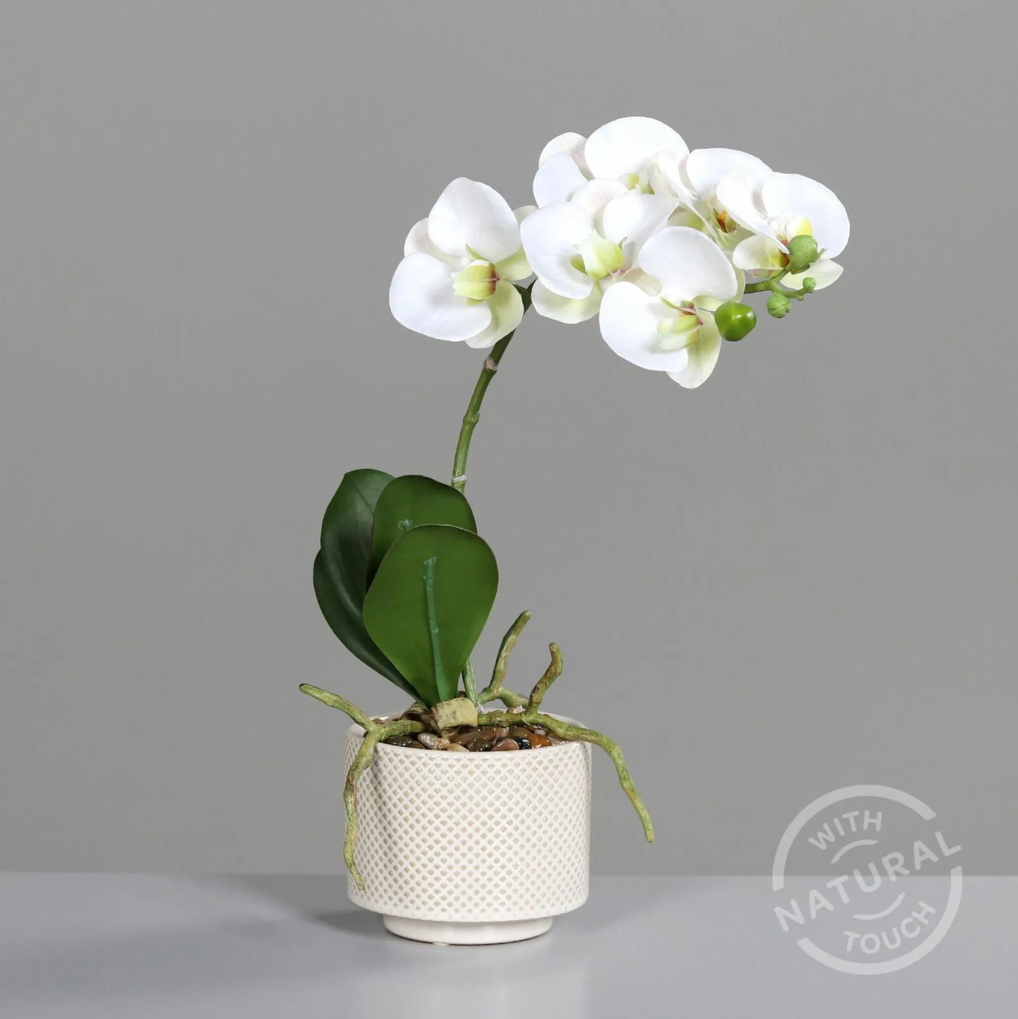 DPI Kunstblume Orchidee