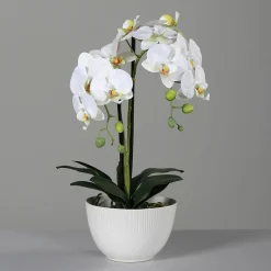 DPI Kunstblume Orchidee