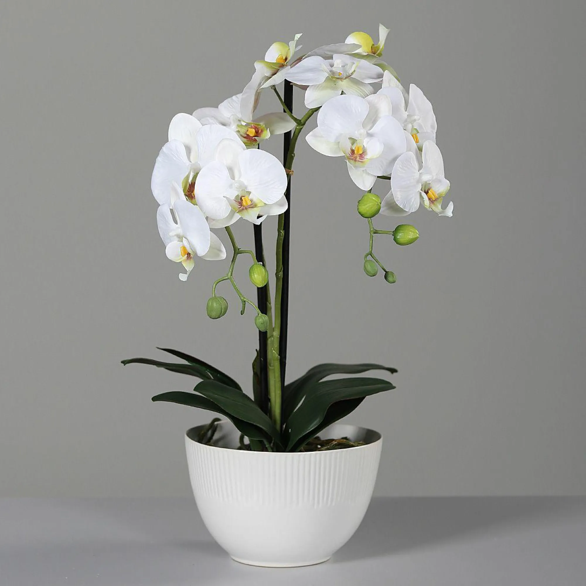 DPI Kunstblume Orchidee