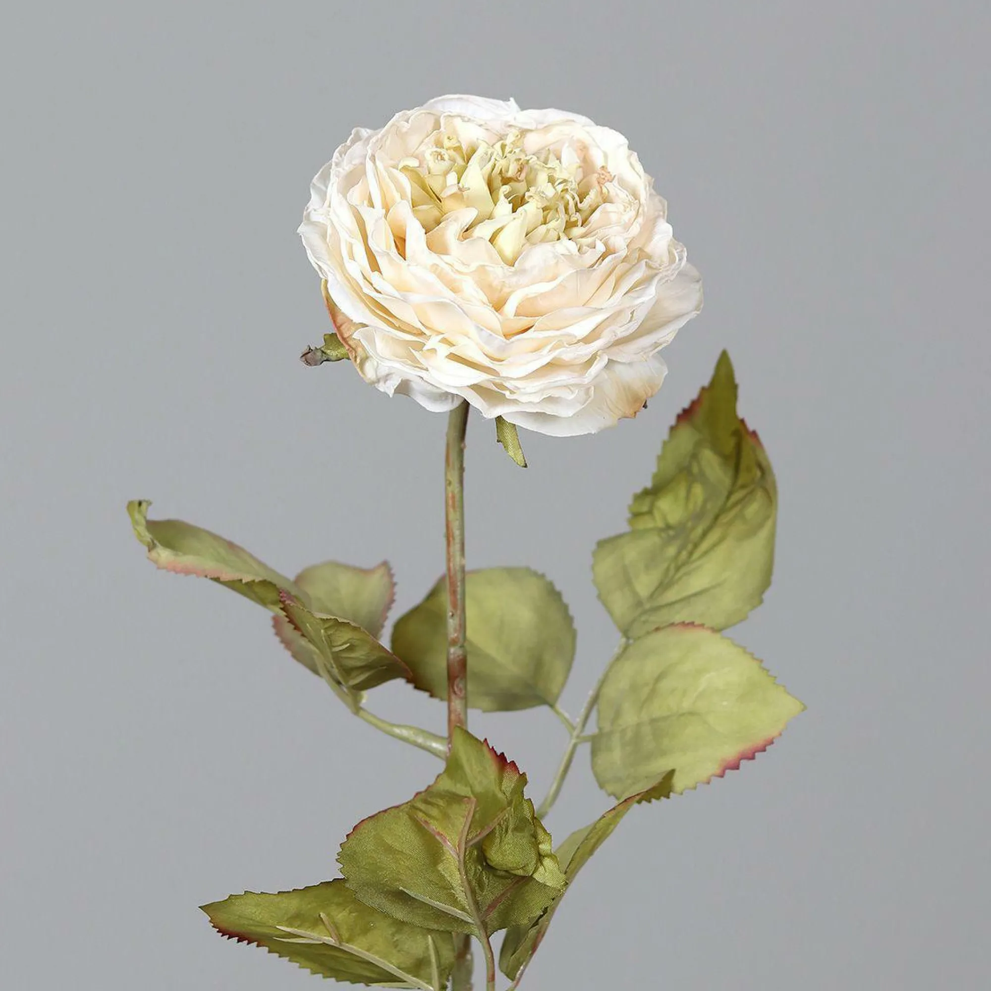Best DPI Kunstblume ROSE