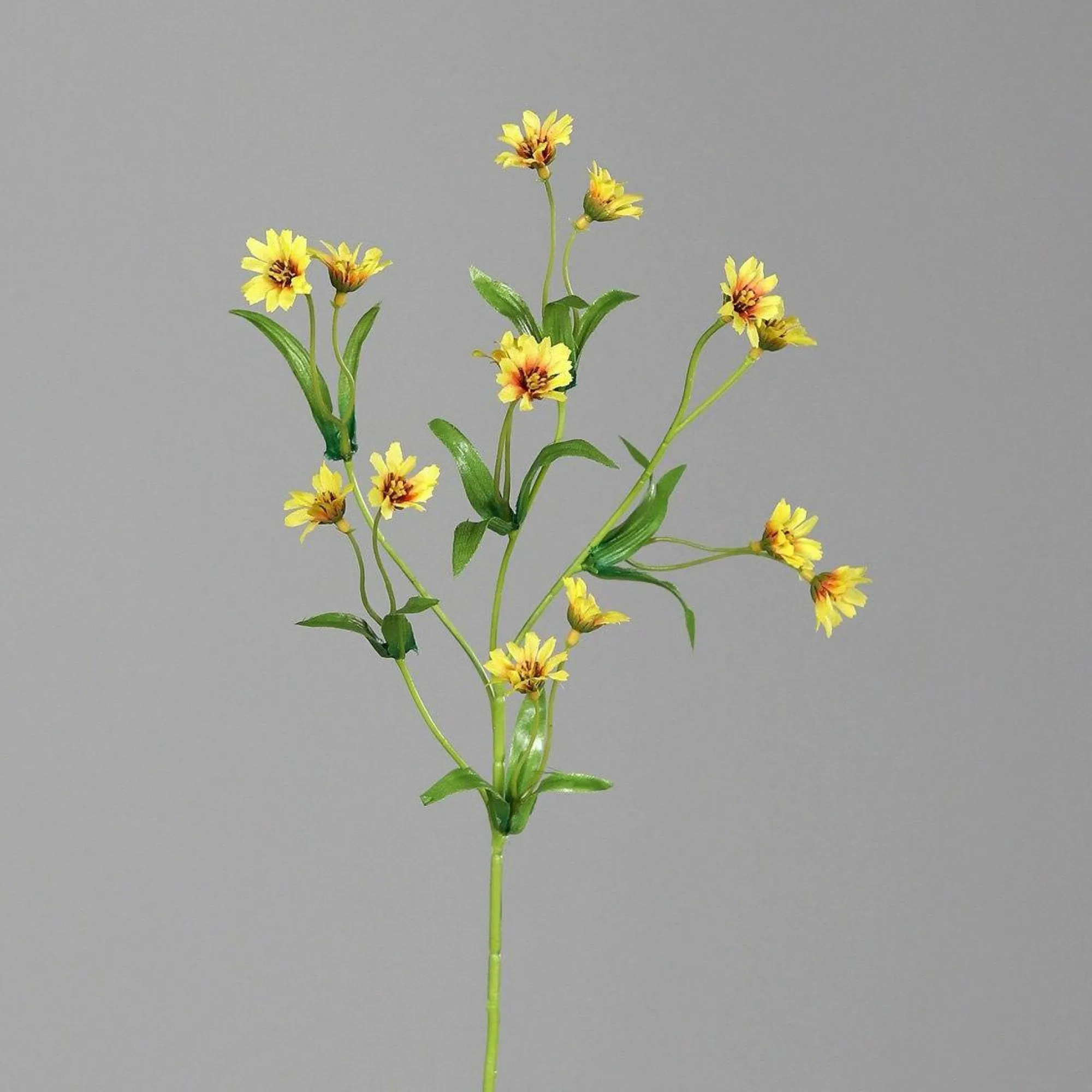 Best DPI Kunstblume ZINNIE