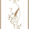 Sonstige Kunstdruck WILD FLOWERS II
