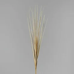 Outlet DPI Kunstpflanze Isolepsis