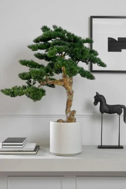 casa NOVA Kunstpflanze Kiefer-Bonsai