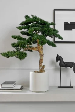 casa NOVA Kunstpflanze Kiefer-Bonsai