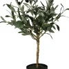 Best Sonstige Kunstpflanze Olivenbaum