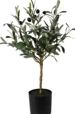 Best Sonstige Kunstpflanze Olivenbaum