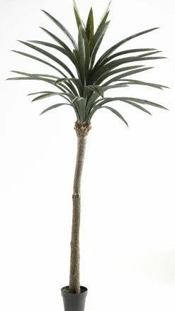 casa NOVA Kunstpflanze PALME