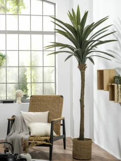 casa NOVA Kunstpflanze PALME