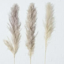 Best Sonstige Kunstpflanze PAMPASGRAS