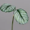 Best DPI Kunstpflanze PHILODENDRON
