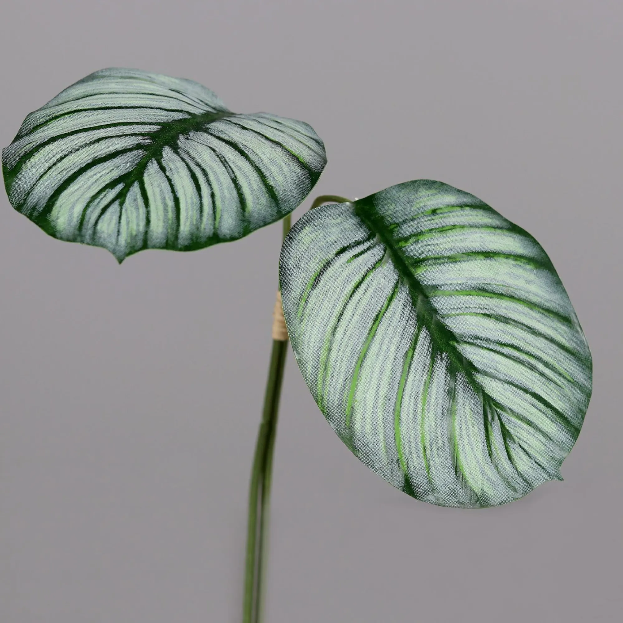 Best DPI Kunstpflanze PHILODENDRON