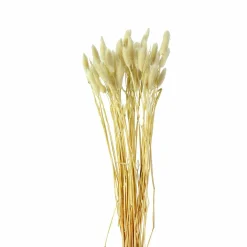 Sonstige Kunstpflanze Samtgras