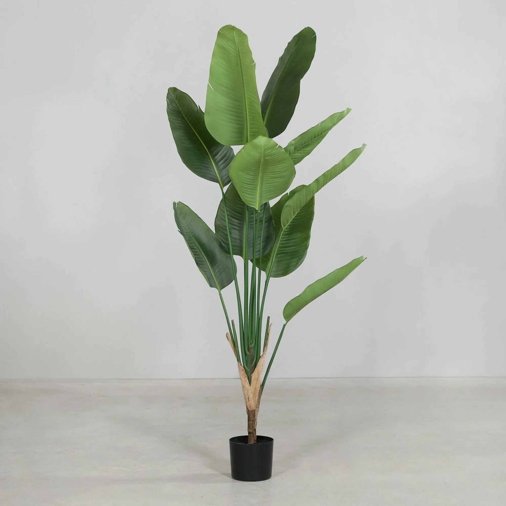 Best DPI Kunstpflanze Strelitzie