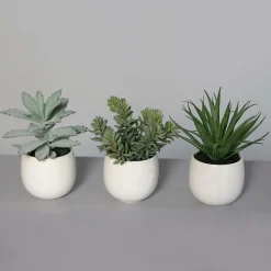 Outlet DPI Kunstpflanze SUKKULENTE