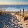 Best Sonstige Leinwandbild SANDWEG ZUM MEER