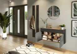 Clearance GERMANIA Mehrzweckschrank AMECA