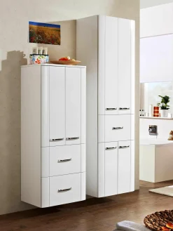 Sale Aquarell Midischrank 3006