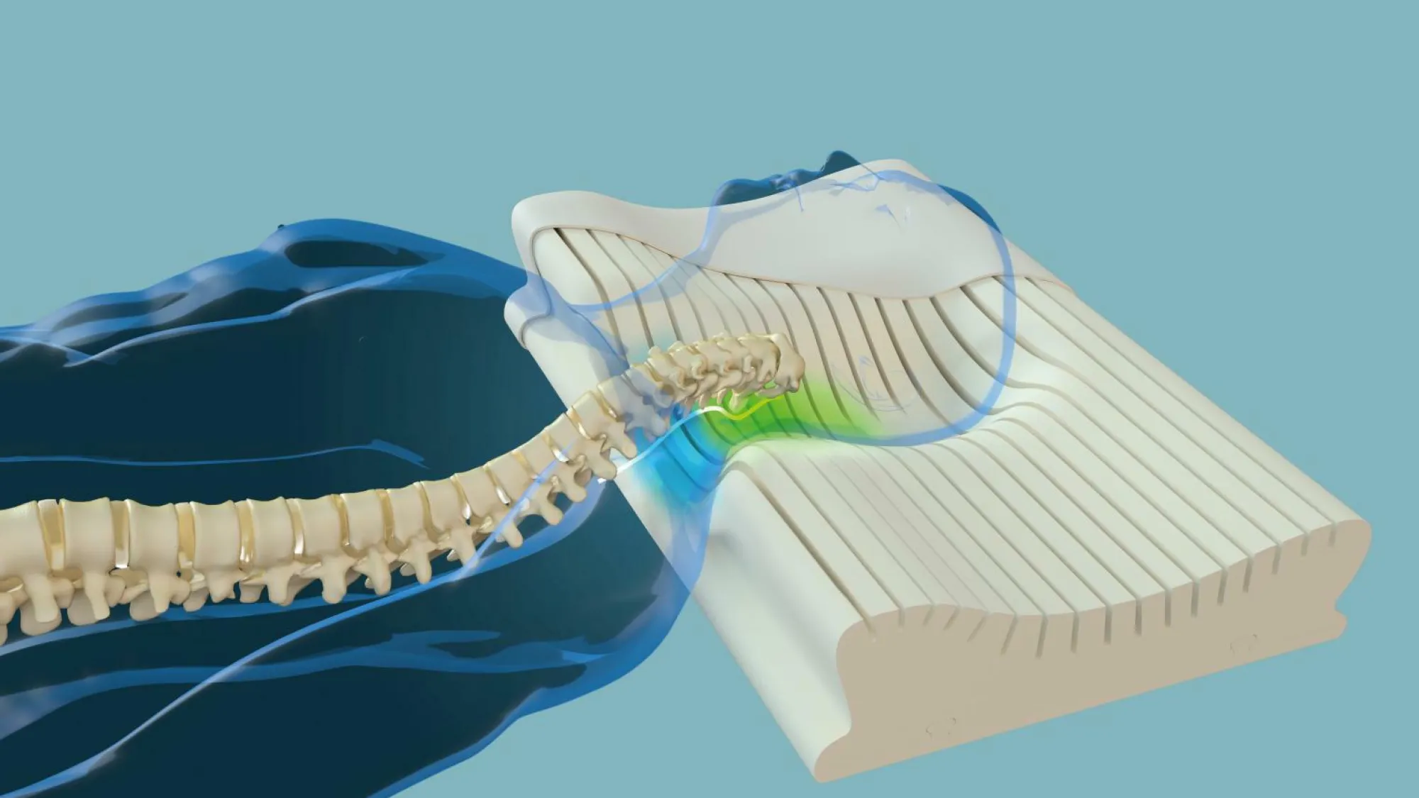 Clearance CENTA-STAR Nackenstützkissen NECKPROTECT