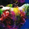 PRO ART Originalbild COLOURFUL BULL II