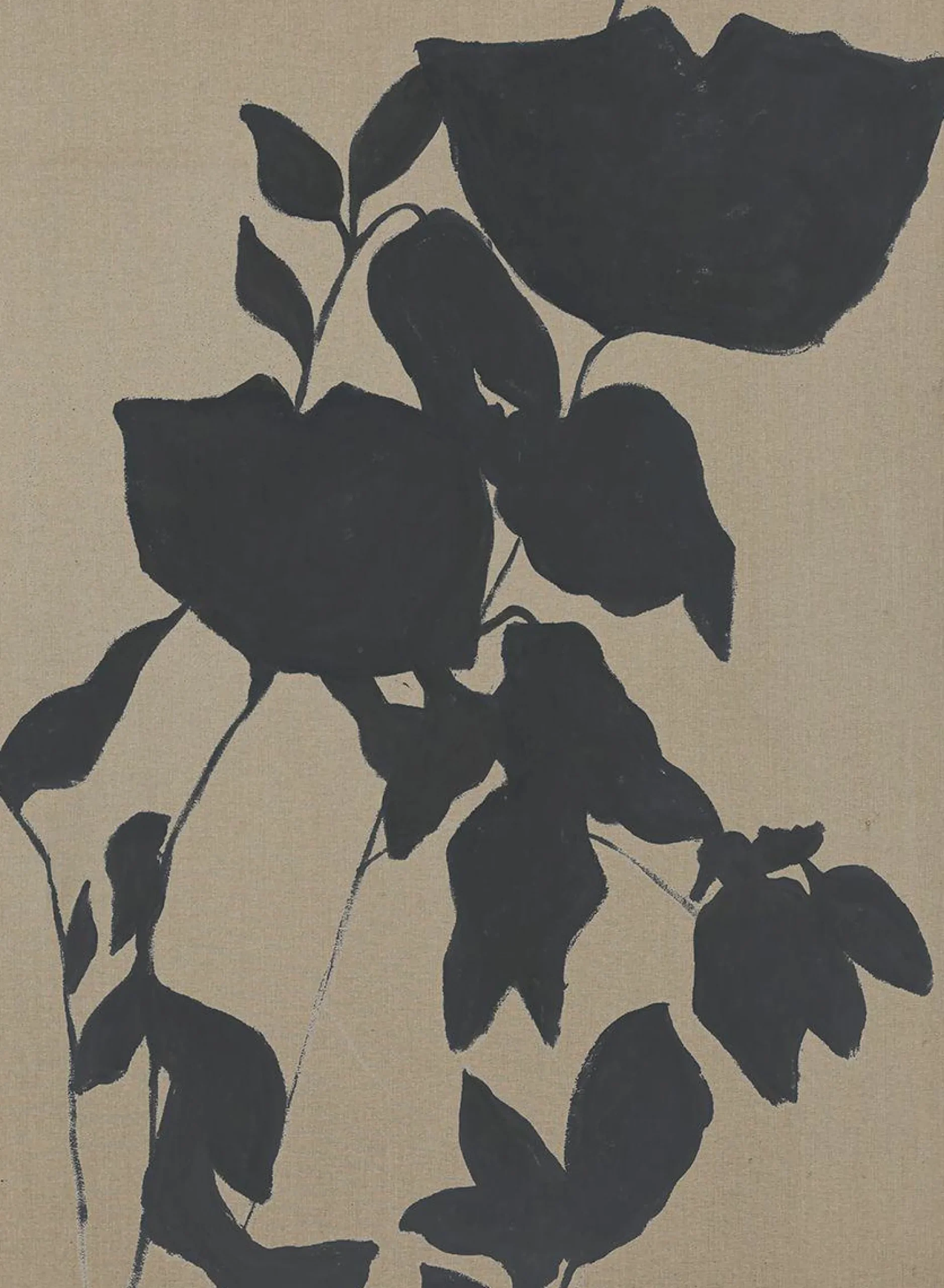 Best Sonstige Originalbild FORTUNA BLACK