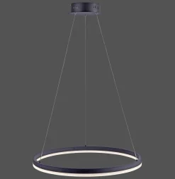 Best Paul Neuhaus Pendelleuchte