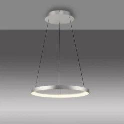 Hot Paul Neuhaus Pendelleuchte HOOP