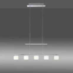 Paul Neuhaus Pendelleuchte HYDRA