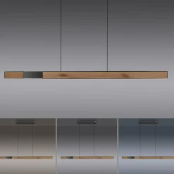 Neuhaus PURE Pendelleuchte PURE MOTO-RISE