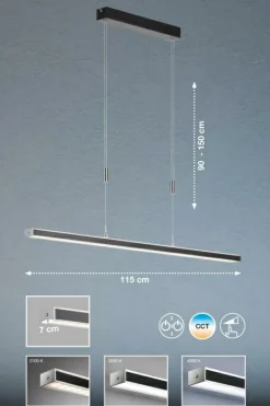 Online FISCHER & HONSEL Pendelleuchte VITAN TW