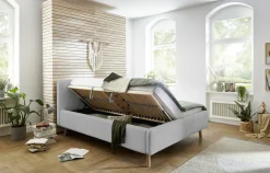 meise möbel Polsterbett MATTIS