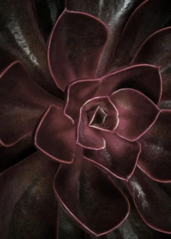 Outlet Sonstige Poster SECRET 16