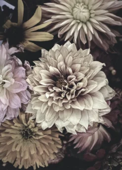 Sale Sonstige Posterboard OPLULENT 5