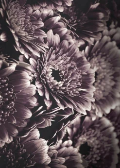 Best Sonstige Posterboard OPULENT 4