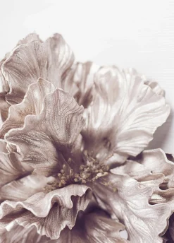 Sonstige Posterboard SIGMA 1