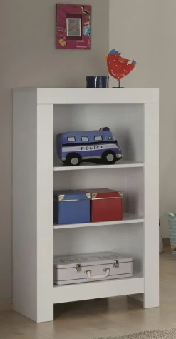 Hot PAIDI Regal FIONA