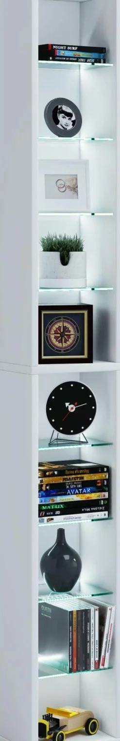 Discount VCM Regal RASATO XL